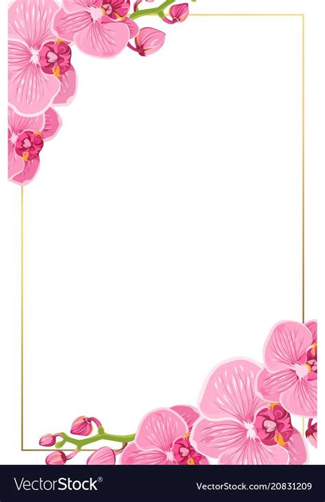 Use these polaroid photo frames to display your. Pink orchid flowers border frame template card Vector ...