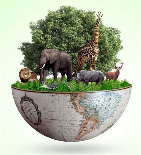 Biodiversidad Concepto E Importancia Ecología Definiciones Y