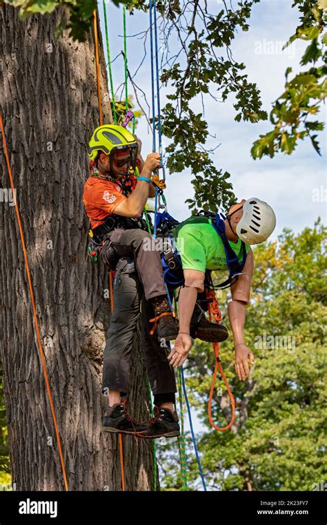 Detroit Michigan Professional Arborists Compete In The Michigan Tree