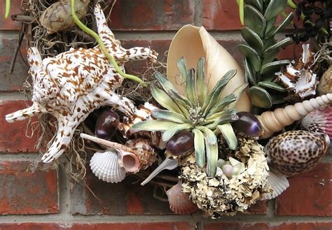 45 Best Seashell Project Ideas To Keep The Vacay Mode On