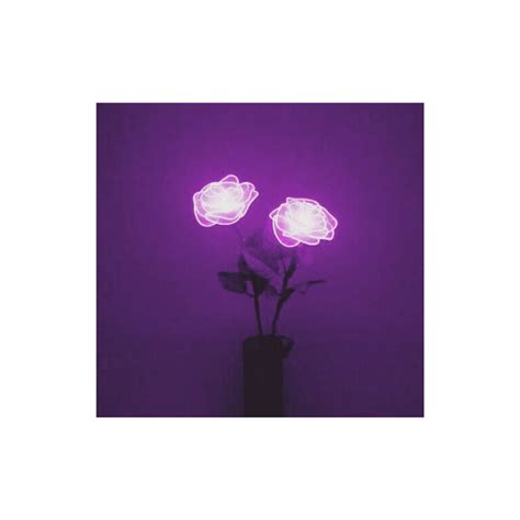 Purple Aesthetic Flower Png - transparent flower on Tumblr : Download ...