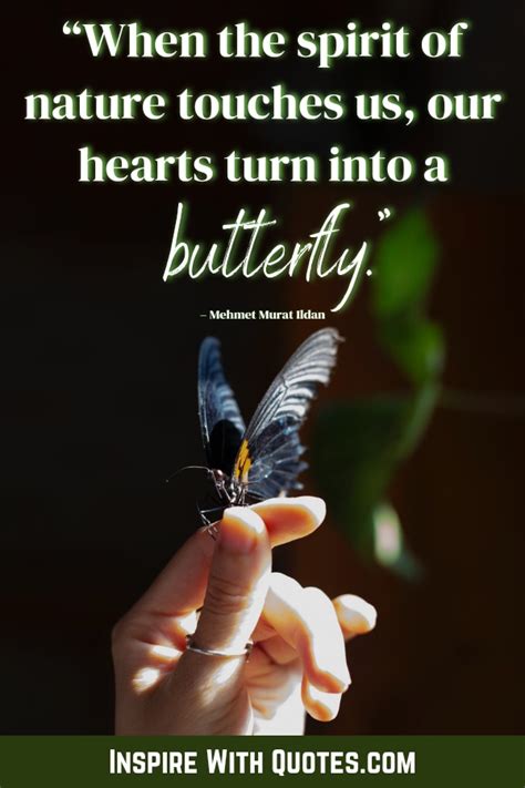 35 Short Butterfly Quotes That Youll Absolutely Love Inspire With