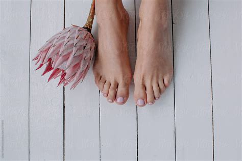 Cute Female Feet With Pedicure And Big Pink Flower On White Wooden