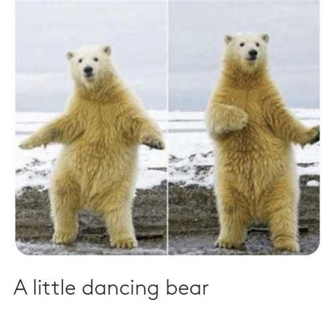 Happy Dance Meme Discover More Interesting Bear Dance Dancing Happy