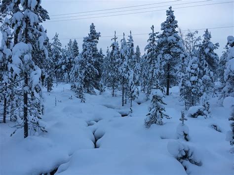 Snow Facts 9 Fun Facts About Snow Santas Lapland