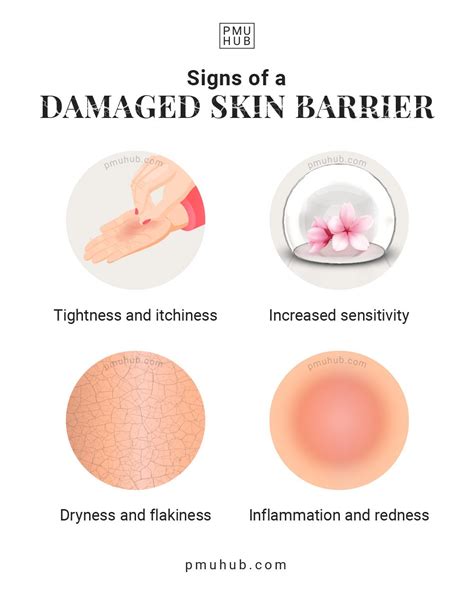 What Leads To A Damaged Skin Barrier Ways To Fix It