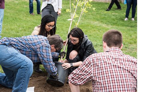 Suffolks Campuses Awarded Prestigious Tree Campus Designation By Arbor