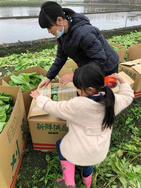 台北果菜市場20天休11天「菜價崩跌」民進黨搶北農卻罔顧農民損失？ 李進勇批罔顧農民損失 天龍國北農糟蹋莊稼血汗？ 台北果菜市場罕見狂休市 民進黨搶北農做不了事？ 吳音寧挨批不顧農民死活 大家開始懷念韓國瑜了？ 迎戰北農連休後首開市，農界動起來!自行屯貨減收共體時艱 | 上下游News&Market