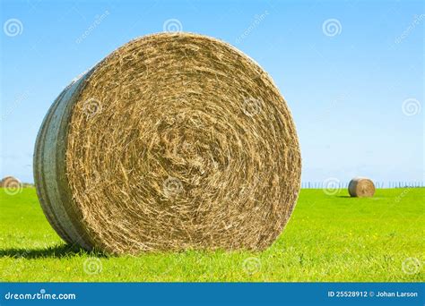 Big Hay Bale Roll In A Green Field Stock Photography Image 25528912