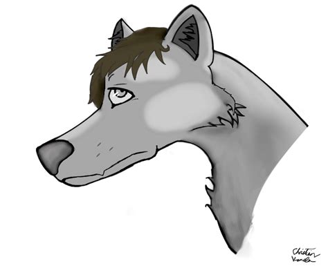 Wolf Profile Drawing Free Download On Clipartmag