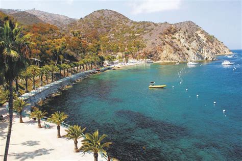 Stay More Than A Day To Get The Most Of Catalina Island Lifestyles