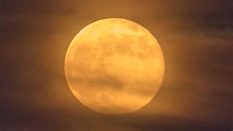 See more ideas about the moon tonight, moon, moon pictures. Full moons in October: Harvest moon tonight and a rare ...