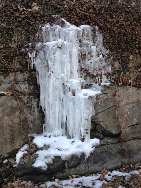 Scenic Saturday Frozen Waterfall End Of Winter Highly Allochthonous