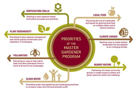 About The Master Gardener Volunteer Program Umn Extension