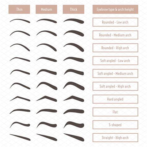 Eyebrow Shapes Various Brow Types By Cheremuha On Creativemarket