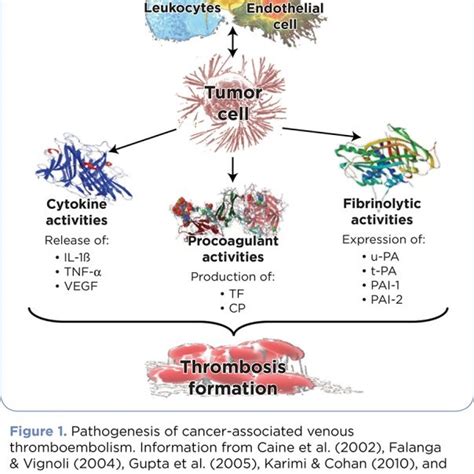 Risk Factors For Cancer Associated Venous Thromboembolism Download Table