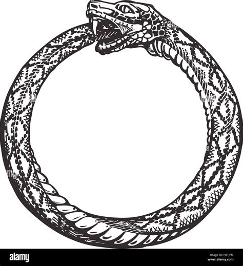 Ouroboros High Resolution Stock Photography And Images Alamy
