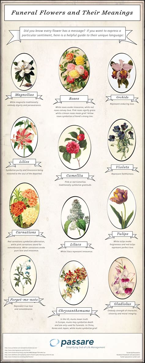 Flower Meanings Chart A Visual Reference Of Charts Chart Master