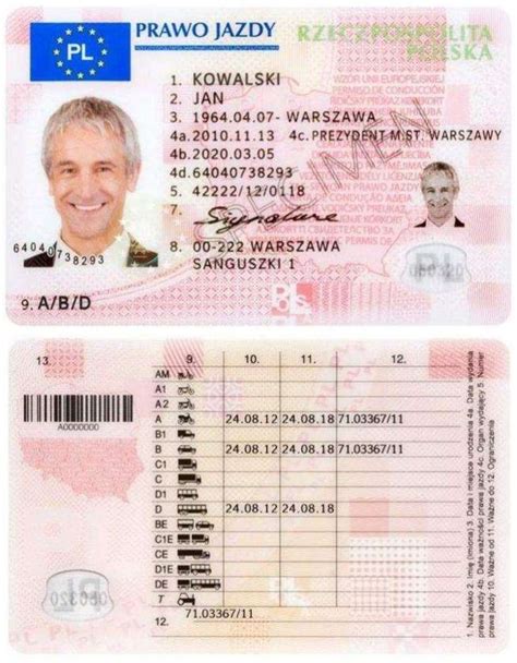 European Driving Licence Driving License Driving Eight Passengers