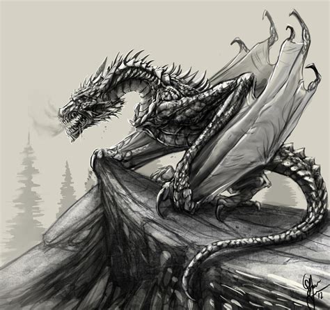 Cool Dragon Sketches At Explore Collection Of Cool