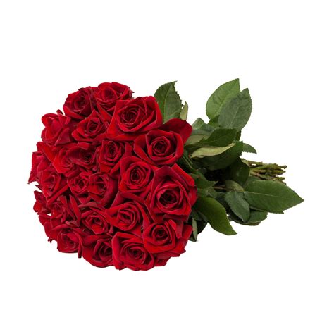 Red Roses T 40 Cm Fresh Cut Flowers 24 Stems By Bloomingmore