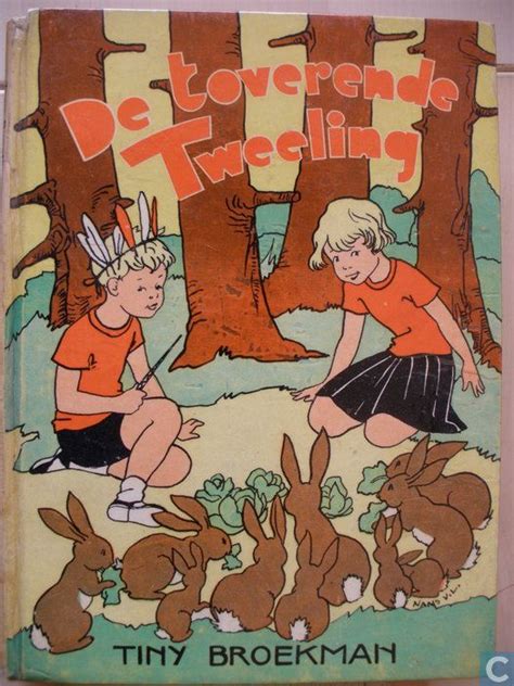 De Toverende Tweeling Leeuwen Nans Van Cover Art Vintage Children