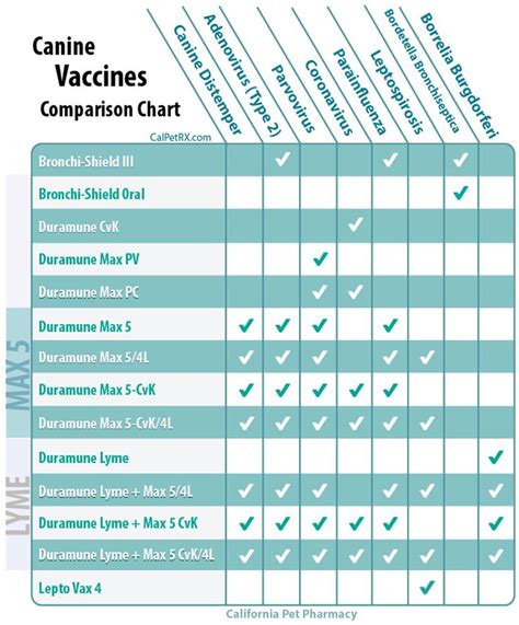 Free Printable Dog Vaccination Chart Printable World Holiday