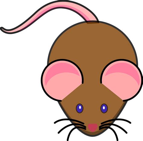 Mouse Brown Pink · Free Vector Graphic On Pixabay