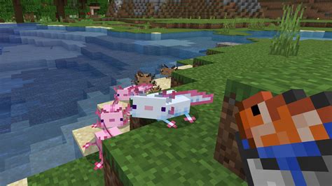 How To Use The Axolotl In Minecraft Mudfooted