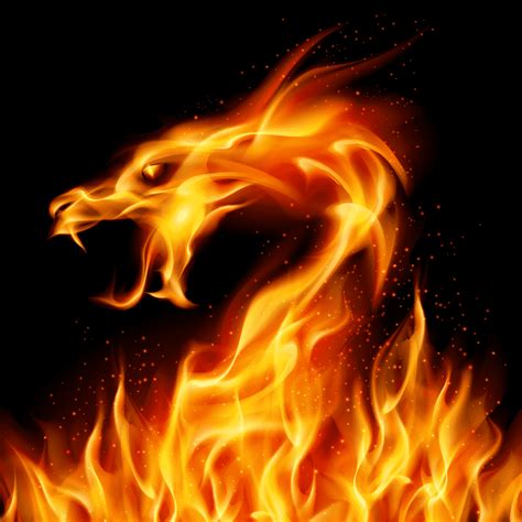 Fire Dragon I Flame Dragon Special Effects Png Pngegg