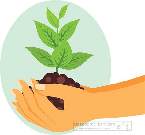 Plants Clipart Hands Holding Grow Trees In Soil Clipart Classroom