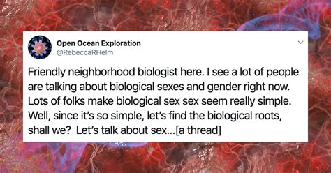 Biology Professor Breaks Down Why Defining Sex And Gender Is Actually