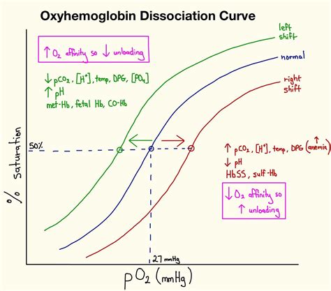 Oxyhemoglobin Dissociation Curve Rkmd Respiratory Therapy Student