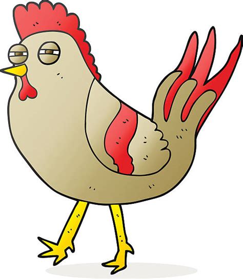 crazy chicken illustrations royalty free vector graphics and clip art istock