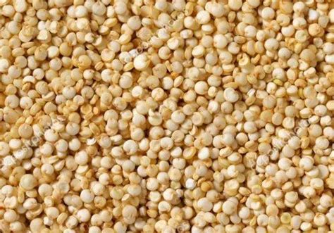 Quinoa Seed At Rs Kilogram Organic Quinoa In Bengaluru Id