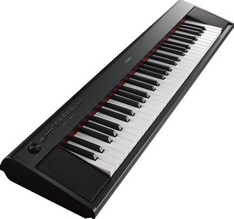 Np 12 Overview Piaggero Keyboard Instruments Musical
