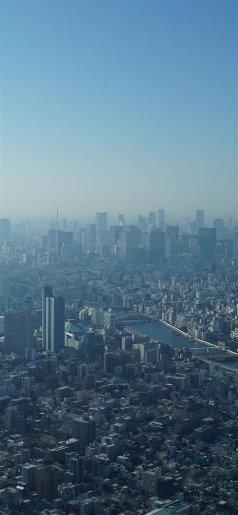 Download Fog In New York Skyline Iphone Wallpaper