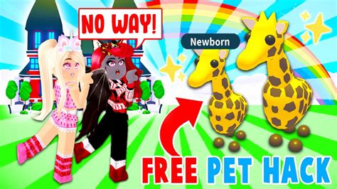 Great sites have adopt me pet hack are listed here. How To Get A FREE LEGENDARY PET?! *Pregnancy Hack* In ...