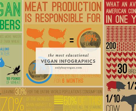8 Vegan Infographics To Get You Vegucated On Veganism