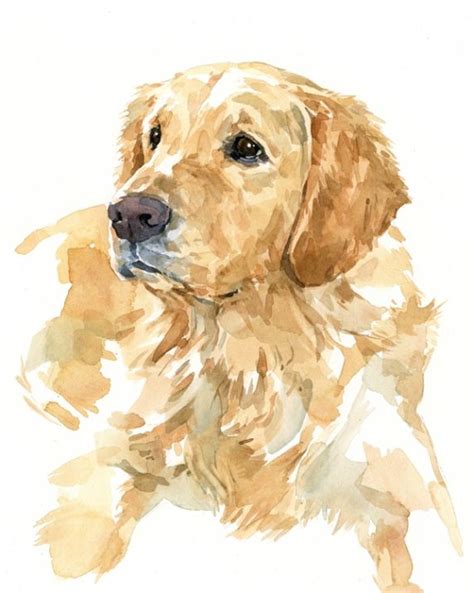 Golden Labrador Retriever Watercolor Paintings Easy Watercolor Dog