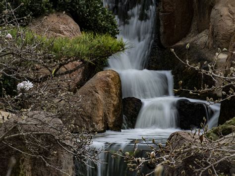 Waterfall In Soft Movement Free Stock Photo Public Domain Pictures