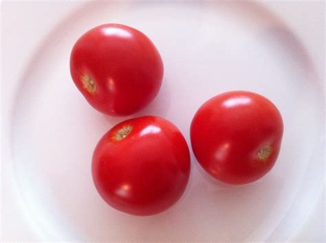 The Best Tasting Tomato In A Store Is A Campari Cookmundo