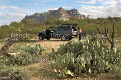 Woman Truck Camping Sonoran Desert Picketpost Mountain Tonto National