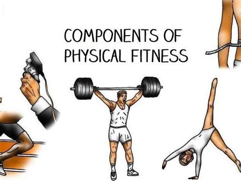Training The Components Of Fitness Teaching Resources