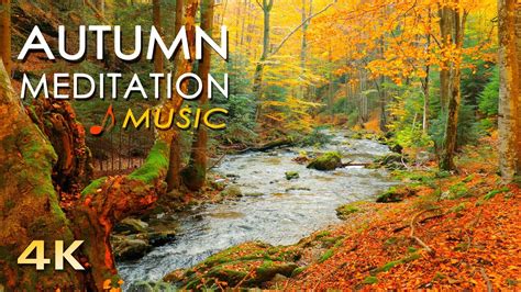 4k Autumn Meditation Uhd Beautiful Nature Video And Relaxing Music Forest River Sounds 1h