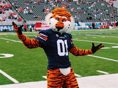Aubie The Tiger Ranked No College Mascot Of Sports