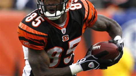 Could The Miami Dolphins Look At Chad Ochocinco The Phinsider