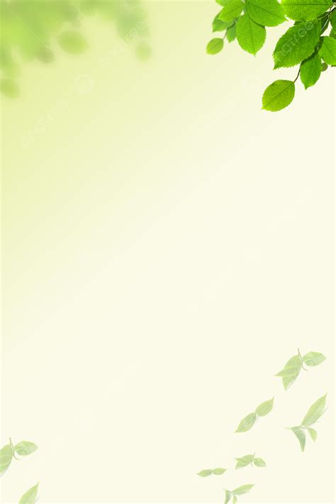 Green Leaves Background Images Hd Pictures And Wallpaper For Free