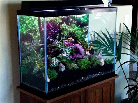 5 Awesome Ways To Repurpose A Fish Tank The Improvement Ideas In 2020