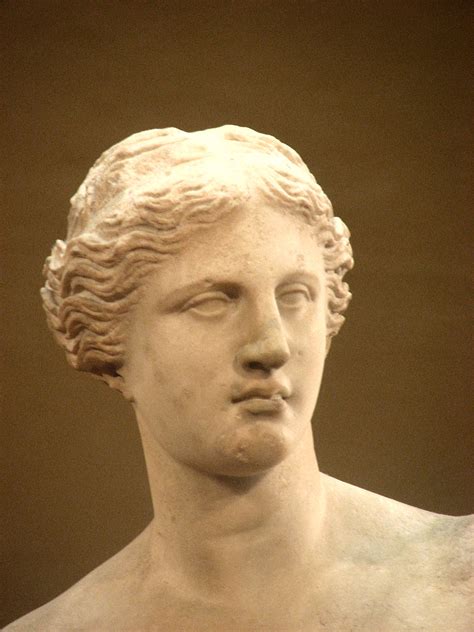 Musée Du Louvre Sculpture Venus De Milo 03 Head Flickr